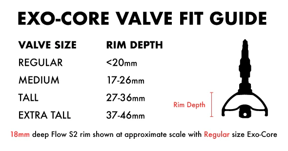 VALVULA TUBELESS EXO-CORE LONGITUD REGULAR DE STAN'S
