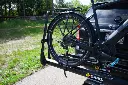 IMG_8630_600x.webp