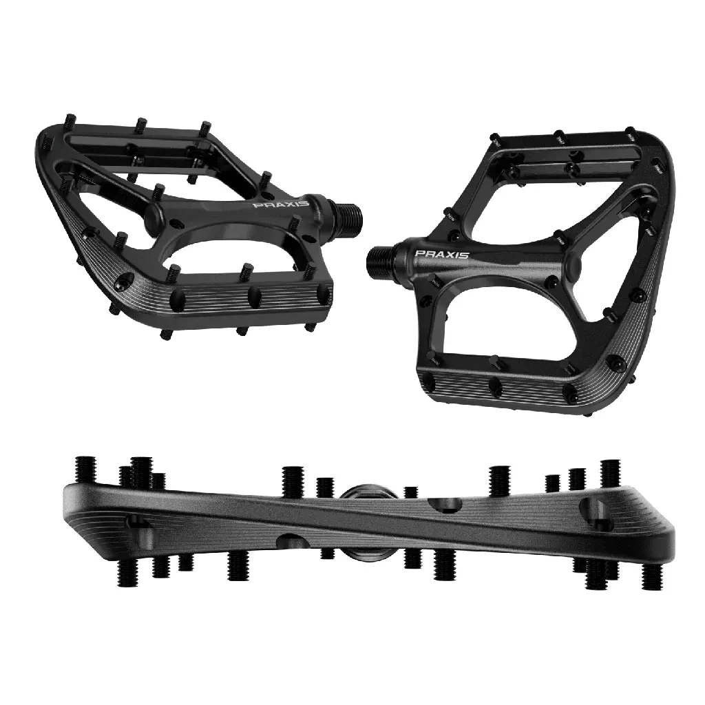 PAR DE PEDALES PRAXIS _BRODIUM_.webp