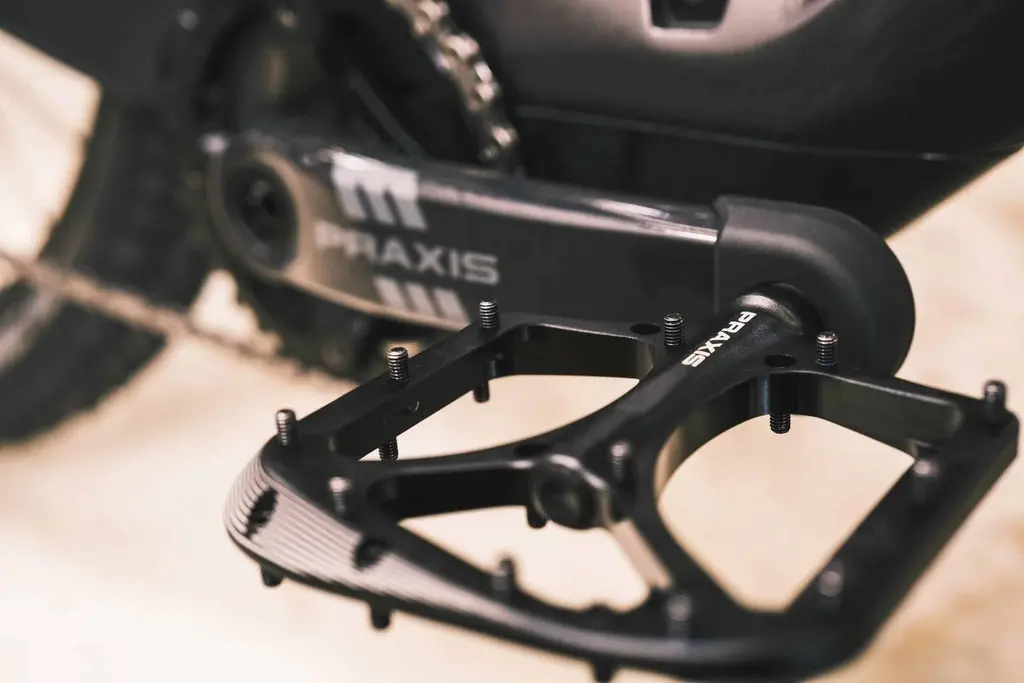 PAR DE PEDALES PRAXIS _BRODIUM_ (2).webp