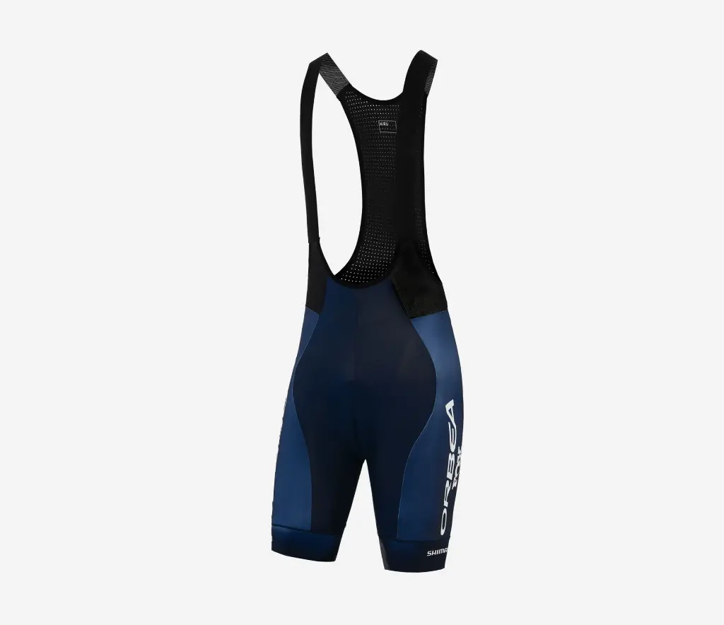 h SFBITTCC_4V_2.webp