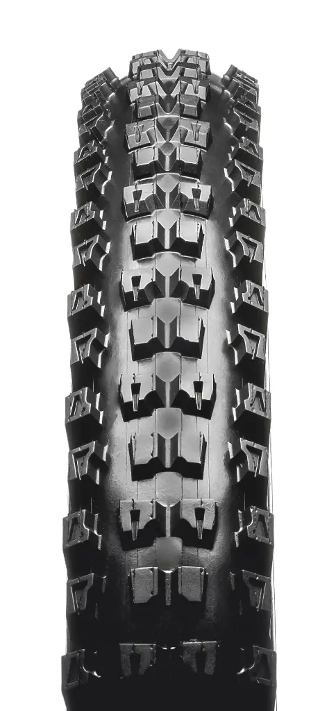 PV528722 - Griffus 2.50 RLAB - B.webp