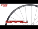 ARO GRAIL CARBON CB7 700C 24H NEGRO/CALCAS PLATA