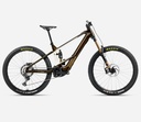 Bicicleta de Montaña ORBEA WILD M-TEAM 20mph 2025 (RAUDOR)