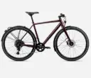 Bicicleta de Montaña ORBEA VECTOR 25 EQ 2026